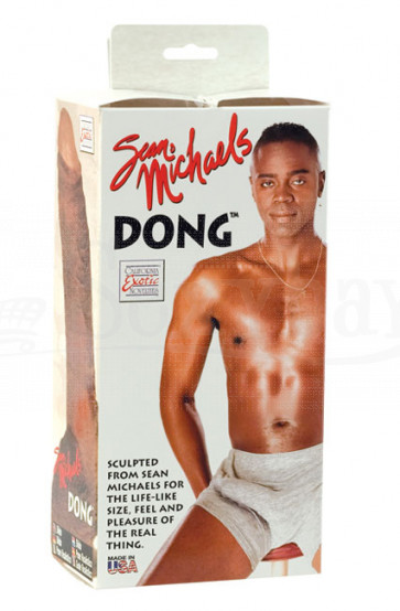 Sean Michaels Dong